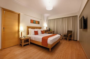 Deluxe Room + Buffet Breakfast + 20% on Food and Soft beverages + Wi-Fi