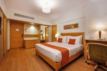Deluxe Room + Buffet Breakfast + 20% on Food and Soft beverages + Wi-Fi