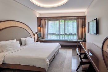Standard Double Room, 1 King Bed