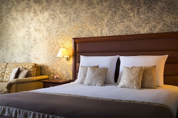 Standard Double Room, 1 King Bed with Sofa bed, Balcony, Park View (Extra Bed)