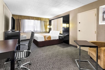 Standard Room, 1 King Bed, Non Smoking