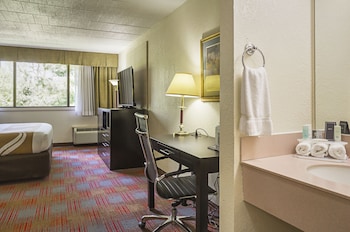 Standard Room, 1 King Bed with Sofa bed, Non Smoking