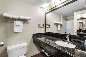 Suite, 1 King Bed with Sofa bed, Non Smoking