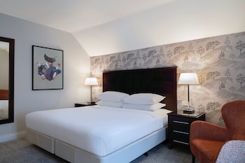 Deluxe Room, 1 Double Bed