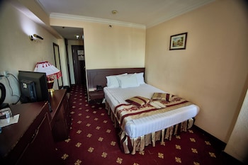 Standard Double Room Double Bed (49-59in / 125-150cm wide)