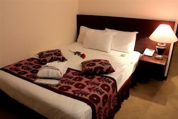 Standard Double Room Double Bed (49-59in / 125-150cm wide)