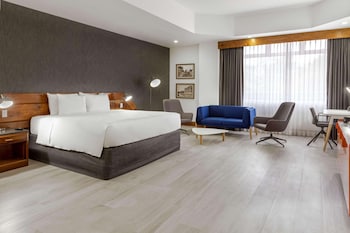 Studio Suite, 1 King Bed, Non Smoking