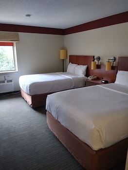 Deluxe Room, 2 Double Beds, Non Smoking, Pool View