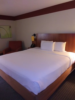 Room, 1 King Bed, Non Smoking, Pool View