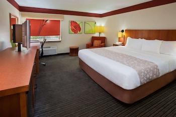 Room, 1 King Bed, Non Smoking, Pool View