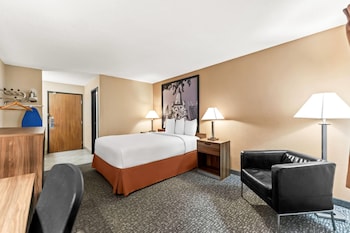 Room, 1 Queen Bed, Non Smoking