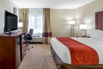 Room, 1 Queen Bed, Accessible, Non Smoking (Roll-In Shower)