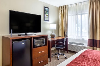 Room, 1 Queen Bed, Accessible, Non Smoking (Roll-In Shower)