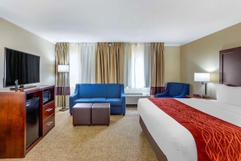 Suite, 1 King Bed with Sofa bed, Non Smoking
