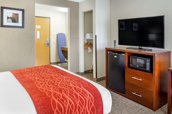 Room, 1 Queen Bed, Accessible, Non Smoking (Roll-In Shower)