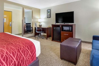 Suite, 1 King Bed with Sofa bed, Non Smoking