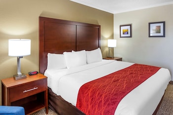 Standard Room, 1 King Bed