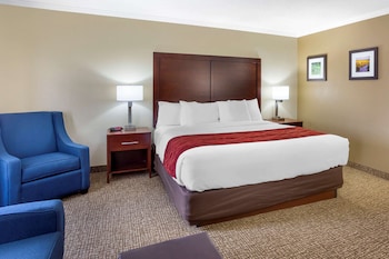 Suite, 1 King Bed with Sofa bed, Non Smoking