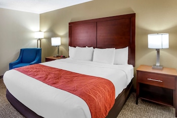 Standard Room, 1 King Bed