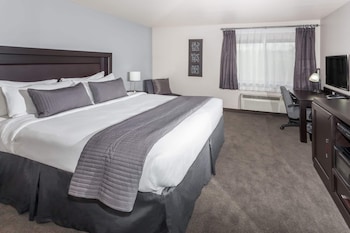 Room, 1 King Bed, Non Smoking
