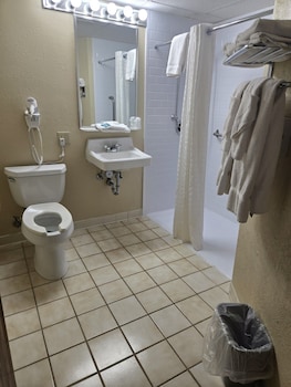 Room, 1 King Bed, Accessible