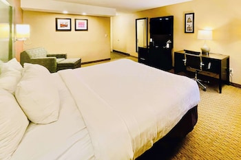 Room, 1 King Bed, Non Smoking