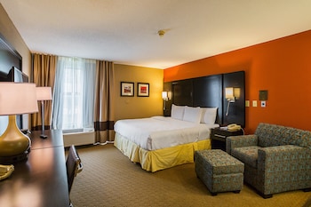 Room, 1 King Bed, Non Smoking