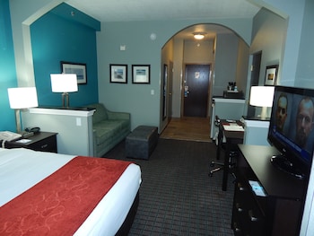 Suite, 1 King Bed with Sofa bed, Accessible, Non Smoking