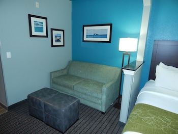 Suite, 1 King Bed with Sofa bed, Accessible, Non Smoking
