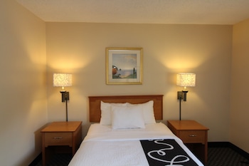 Room, 1 Double Bed, Accessible, Non Smoking (Bathtub with Grab Bars)