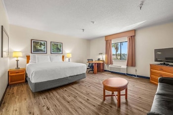 Deluxe Room, 1 King Bed, Non Smoking