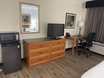 Room, 1 Double Bed, Accessible, Non Smoking (Hearing, Mobility Roll-In Shower)
