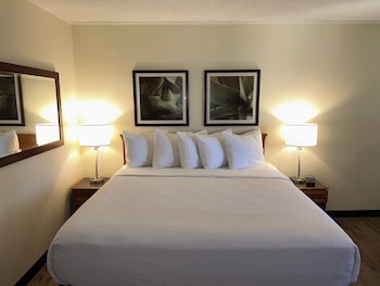 Room, 1 Double Bed, Accessible, Non Smoking (Hearing, Mobility Roll-In Shower)