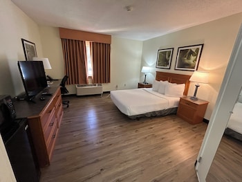 Room, 1 Double Bed, Accessible, Non Smoking (Hearing, Mobility Roll-In Shower)