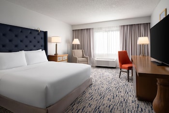 Room, 1 King Bed (Roll-in Shower)