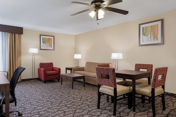 Room, 1 King Bed (Additional Living Area)