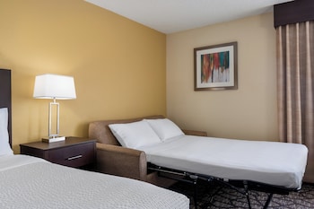Standard Room, 1 King Bed with Sofa bed