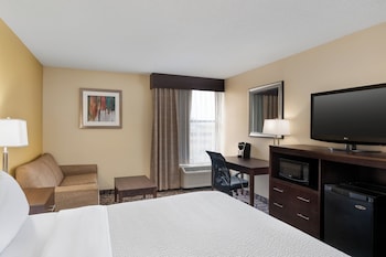 Standard Room, 1 King Bed with Sofa bed