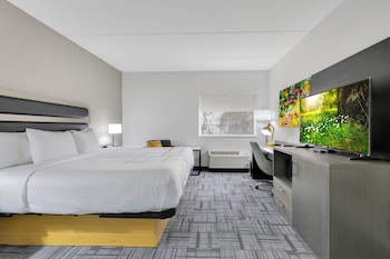 Room, 1 King Bed, Accessible, Non Smoking (Mobility/Hearing impaired)