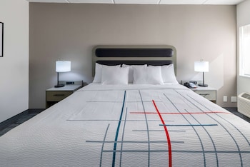 Room, 1 King Bed, Accessible, Non Smoking (Mobility/Hearing impaired)