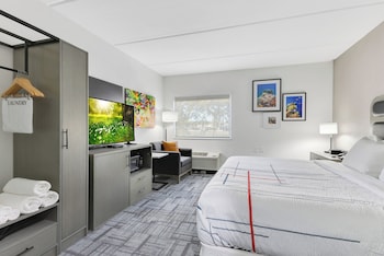 Room, 1 King Bed, Non Smoking