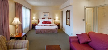 Junior Suite, 1 King Bed