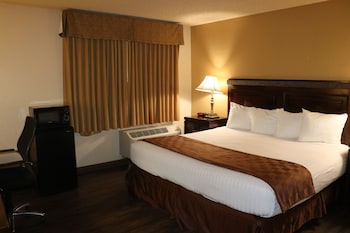 Standard Room, 1 King Bed, Accessible