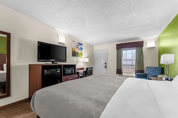 Room, 1 King Bed