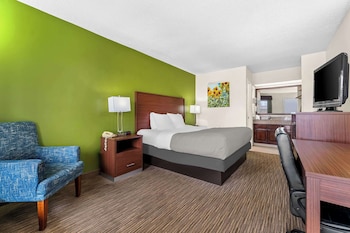 Room, 1 King Bed