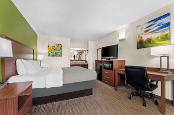 Room, 1 King Bed