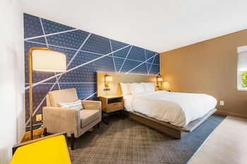 Suite, 1 King Bed, Non Smoking (Efficiency, Upgrade)