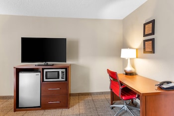 Suite, 1 King Bed with Sofa bed, Non Smoking