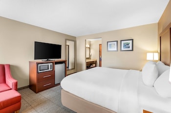 Standard Room, 1 King Bed, Non Smoking