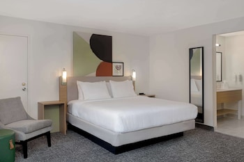 Room, 1 King Bed